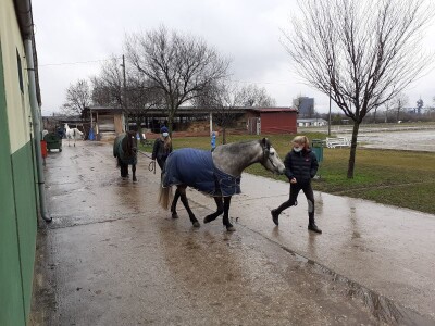 Potresi na zagrebačkom Hipodromu