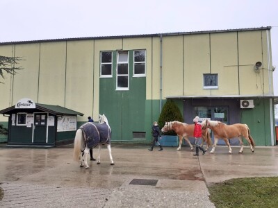 Potresi na zagrebačkom Hipodromu