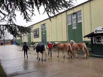 Potresi na zagrebačkom Hipodromu