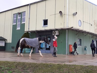 Potresi na zagrebačkom Hipodromu