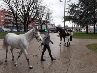 Potresi na zagrebačkom Hipodromu