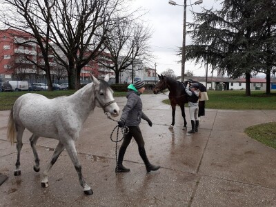 Potresi na zagrebačkom Hipodromu