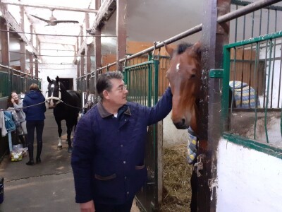 Potresi na zagrebačkom Hipodromu