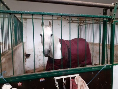 Potresi na zagrebačkom Hipodromu