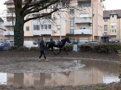 Potresi na zagrebačkom Hipodromu