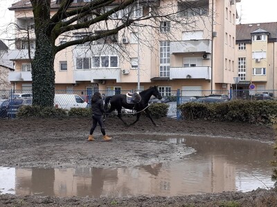 Potresi na zagrebačkom Hipodromu