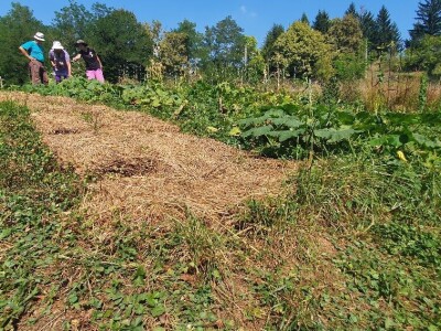 Povećajte prinos brigom o tlu