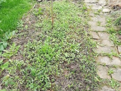 Povećajte prinos brigom o tlu