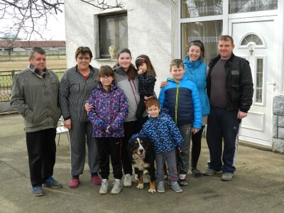 Povećali bi broj goveda ali nemamo sredstava