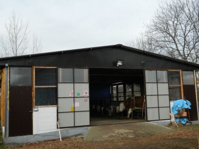 Povećali bi broj goveda ali nemamo sredstava