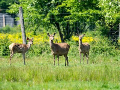 povećan broj turističkih dolazaka i noćenja u Osječko-baranjskoj županiji