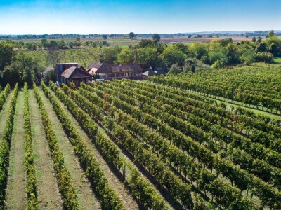 povećan broj turističkih dolazaka i noćenja u Osječko-baranjskoj županiji