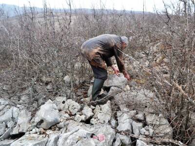 Povratak otpisanih: Dmitru se vratile prodana šara i prežaljena crna koza! Povratak otpisanih: Dmitru se vratile prodana šara i prežaljena crna koza!