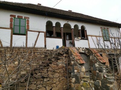 Povratak prirodi i selu