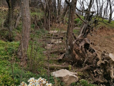 Povratak prirodi i selu