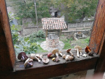 Povratak prirodi i selu