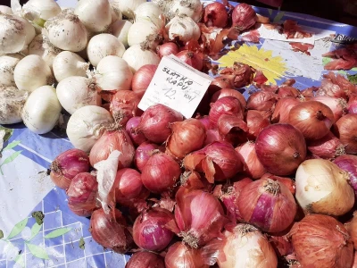Povrćari na koljenima