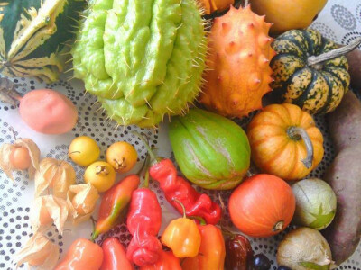 Šareno, lijepo i zdravo