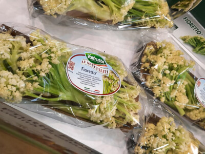 Fruit Logistica 2022