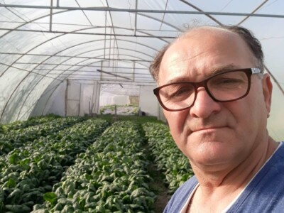 Povrće u zatvorenom prostoru