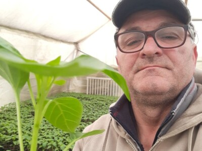 Povrće u zatvorenom prostoru