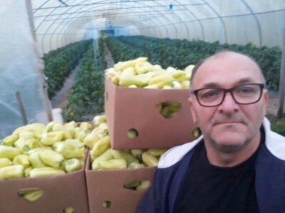 Povrće u zatvorenom prostoru