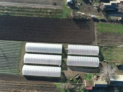 Povrtarska porodična proizvodnja