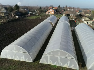 Povrtarska porodična proizvodnja