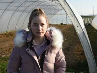 Povrtarska porodična proizvodnja