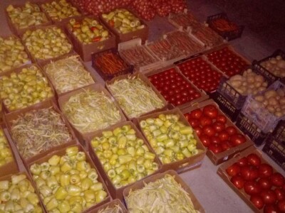 povrtarske i ratarske kulture