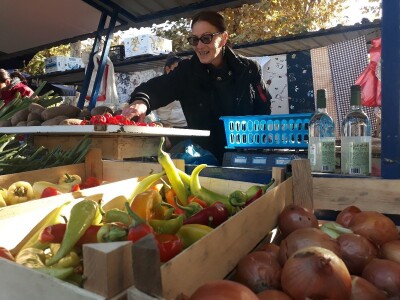 Povrtarstvo u Staroj Pazovi