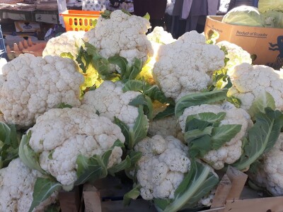 Povrtarstvo u Staroj Pazovi