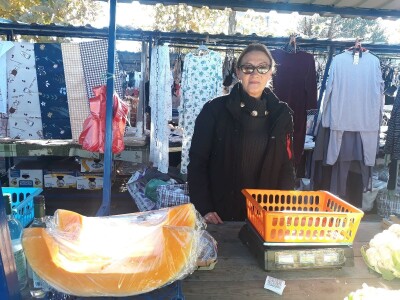 Povrtarstvo u Staroj Pazovi