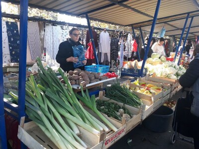 Povrtarstvo u Staroj Pazovi