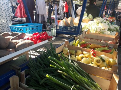 Povrtarstvo u Staroj Pazovi