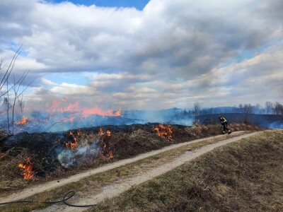Požar između Barilovića i Krnjaka