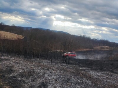 Požar između Barilovića i Krnjaka