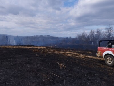 Požar između Barilovića i Krnjaka