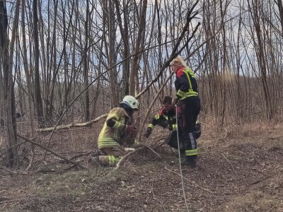 Požar između Barilovića i Krnjaka