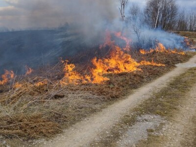 Požar između Barilovića i Krnjaka