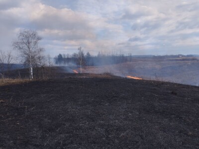 Požar između Barilovića i Krnjaka