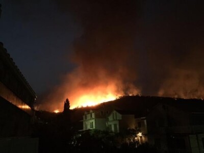 Fotografiju požara kod Korčule na svom je twitter profilu objavila i EU zastupnica Ruža Tomašić