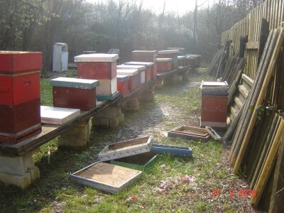 Devastiran i dio košnica u blizini kontejnera