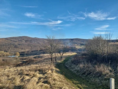 Požar na polju