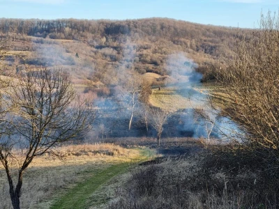 Požar na polju