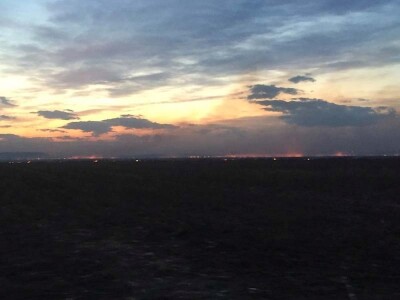 Požar strnjaka kod Osijeka