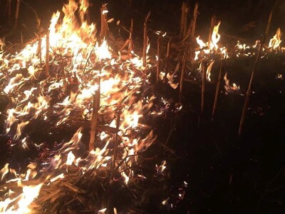 Požar strnjaka kod Osijeka