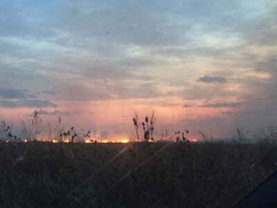 Požar strnjaka kod Osijeka