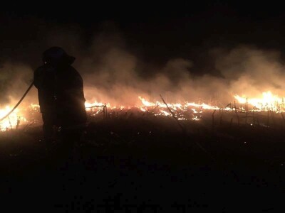 Požar strnjaka kod Osijeka