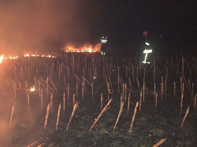 Požar strnjaka kod Osijeka
